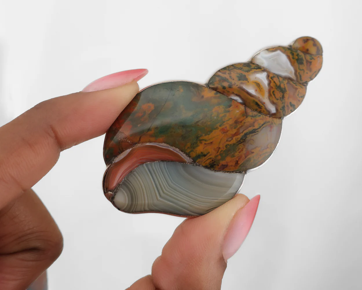 Victorian Scottish Snail Brooch/Pendant - Image 3
